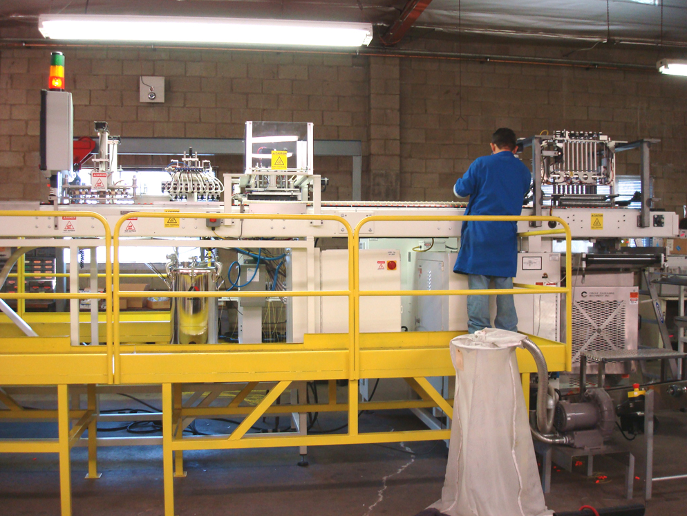 Automated ear plug assembly system